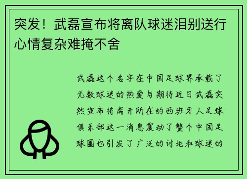 突发！武磊宣布将离队球迷泪别送行心情复杂难掩不舍